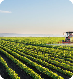 Farm fresh organic produce